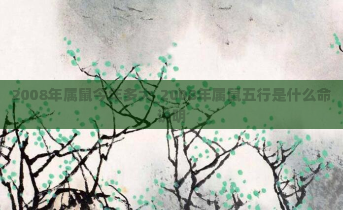 2008年属鼠今年多大_2008年属鼠五行是什么命说明