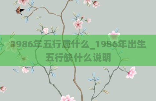 1986年五行属什么_1986年出生五行缺什么说明