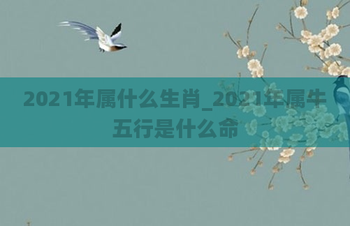 2021年属什么生肖_2021年属牛五行是什么命