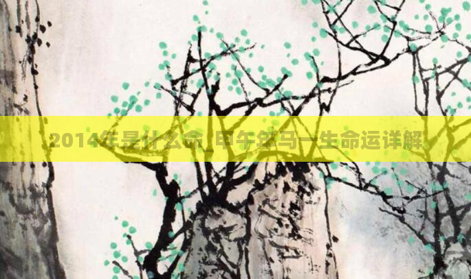 2014年是什么命_甲午年马一生命运详解