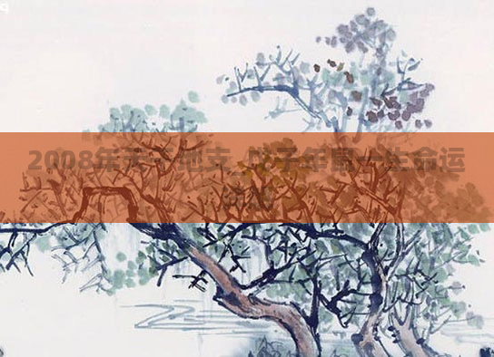 2008年天干地支_戊子年鼠一生命运详解