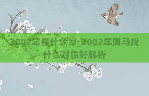 2002年是什么命_2002年属马找什么对象好解析