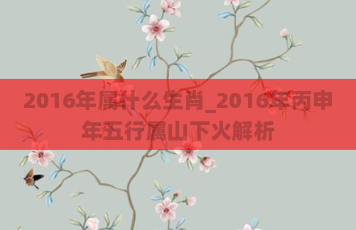 2016年属什么生肖_2016年丙申年五行属山下火解析