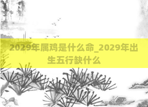 2029年属鸡是什么命_2029年出生五行缺什么