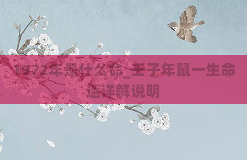 1972年是什么命_壬子年鼠一生命运详解说明