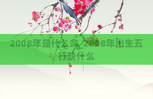 2008年是什么命_2008年出生五行缺什么