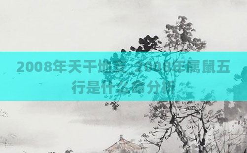 2008年天干地支_2008年属鼠五行是什么命分析