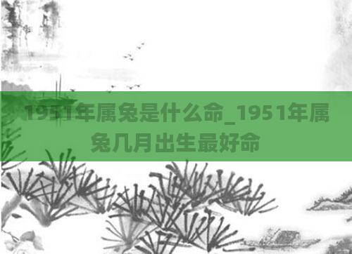1951年属兔是什么命_1951年属兔几月出生最好命