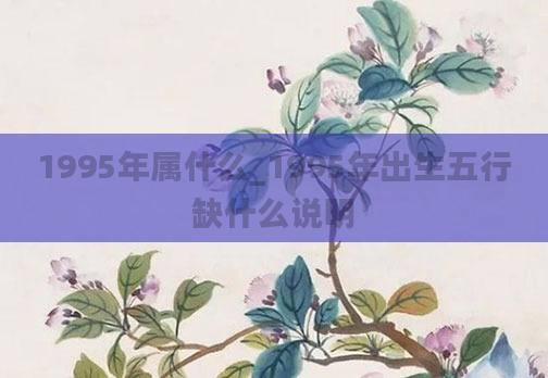 1995年属什么_1995年出生五行缺什么说明