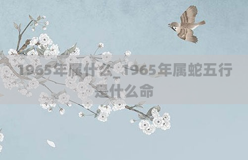 1965年属什么_1965年属蛇五行是什么命