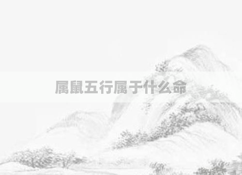 属鼠五行属于什么命