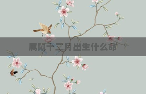 属鼠十二月出生什么命