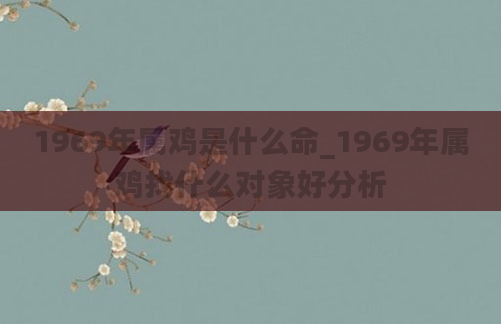 1969年属鸡是什么命_1969年属鸡找什么对象好分析
