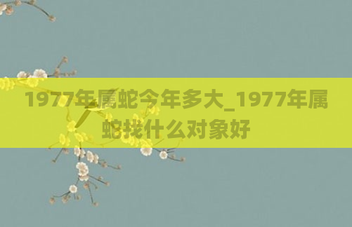 1977年属蛇今年多大_1977年属蛇找什么对象好