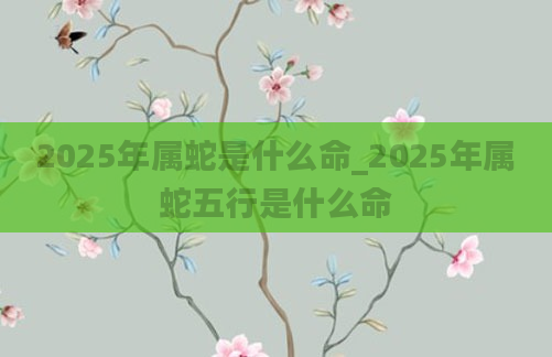 2025年属蛇是什么命_2025年属蛇五行是什么命