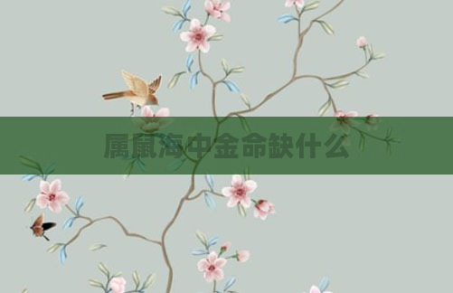 属鼠海中金命缺什么