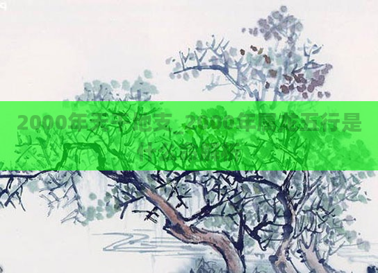 2000年天干地支_2000年属龙五行是什么命解析