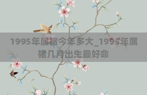 1995年属猪今年多大_1995年属猪几月出生最好命
