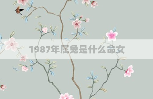1987年属兔是什么命女