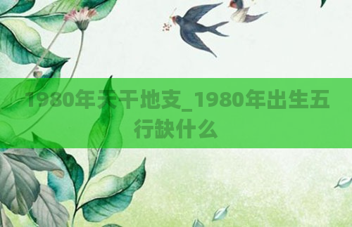 1980年天干地支_1980年出生五行缺什么
