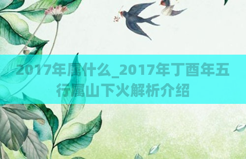 2017年属什么_2017年丁酉年五行属山下火解析介绍
