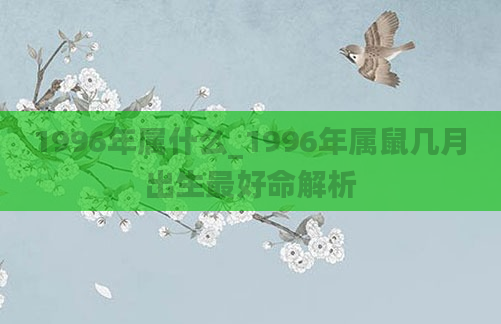 1996年属什么_1996年属鼠几月出生最好命解析