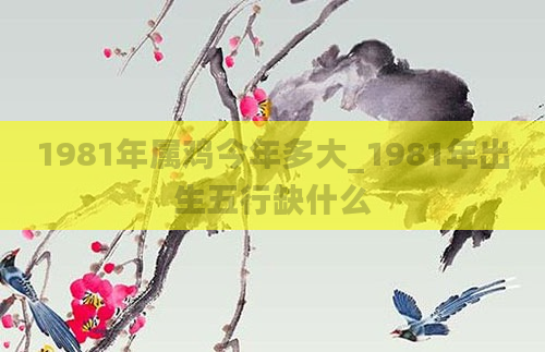 1981年属鸡今年多大_1981年出生五行缺什么