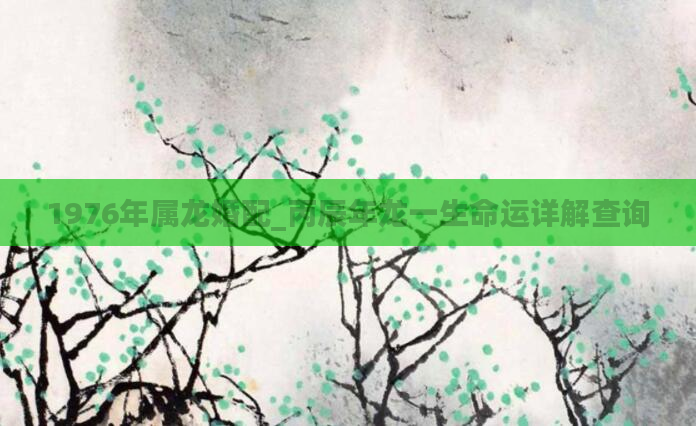 1976年属龙婚配_丙辰年龙一生命运详解查询