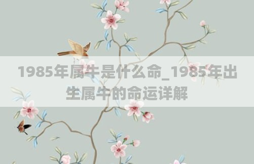 1985年属牛是什么命_1985年出生属牛的命运详解