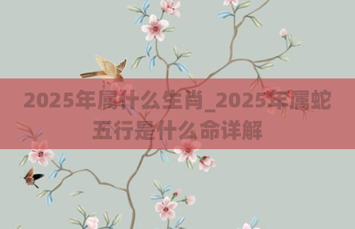 2025年属什么生肖_2025年属蛇五行是什么命详解