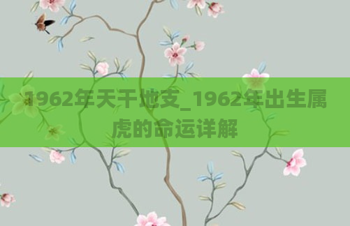 1962年天干地支_1962年出生属虎的命运详解