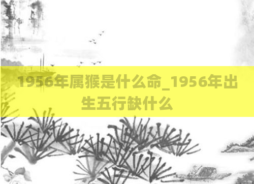 1956年属猴是什么命_1956年出生五行缺什么