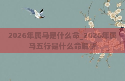 2026年属马是什么命_2026年属马五行是什么命解析