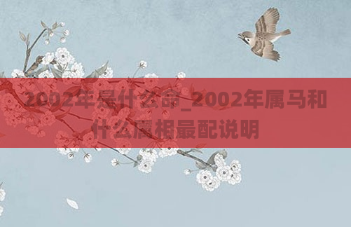 2002年是什么命_2002年属马和什么属相最配说明