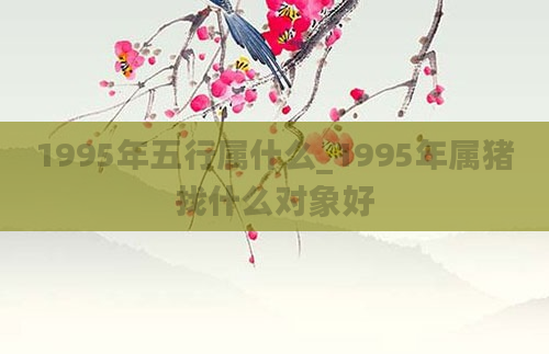 1995年五行属什么_1995年属猪找什么对象好