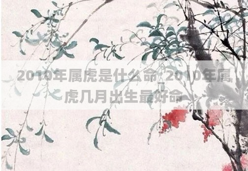 2010年属虎是什么命_2010年属虎几月出生最好命