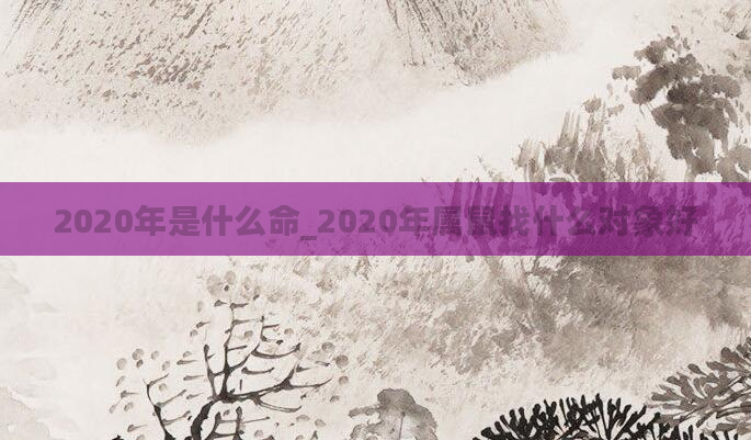 2020年是什么命_2020年属鼠找什么对象好