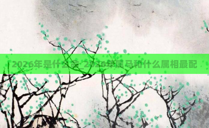 2026年是什么命_2026年属马和什么属相最配