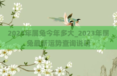 2023年属兔今年多大_2023年属兔最新运势查询说明