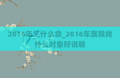 2016年是什么命_2016年属猴找什么对象好说明