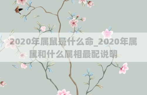 2020年属鼠是什么命_2020年属鼠和什么属相最配说明