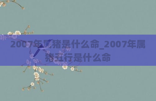 2007年属猪是什么命_2007年属猪五行是什么命