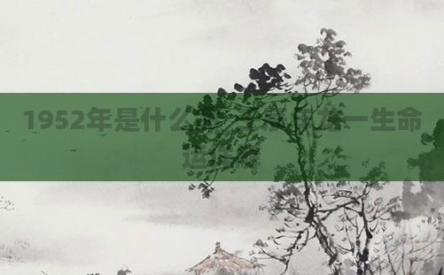 1952年是什么命_壬辰年龙一生命运详解