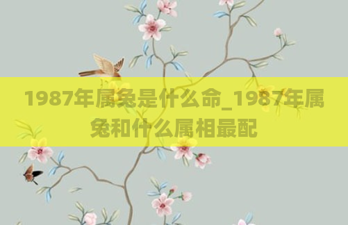 1987年属兔是什么命_1987年属兔和什么属相最配