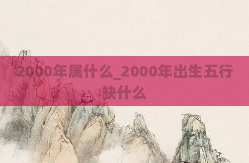 2000年属什么_2000年出生五行缺什么