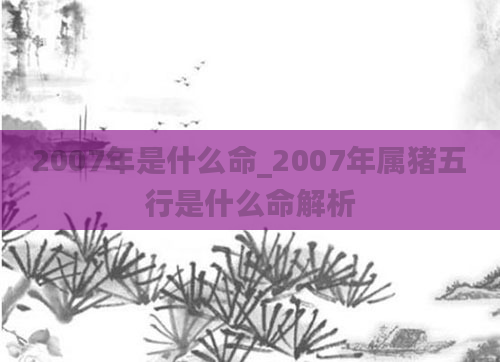 2007年是什么命_2007年属猪五行是什么命解析