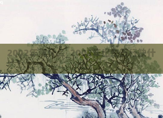 2002年属什么_2002年出生五行缺什么