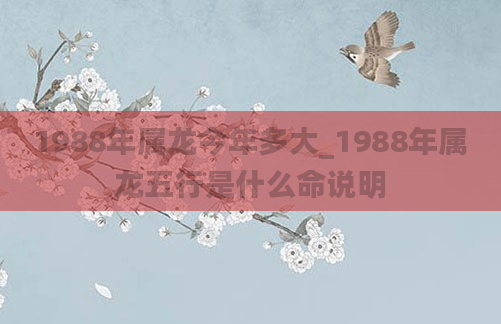 1988年属龙今年多大_1988年属龙五行是什么命说明