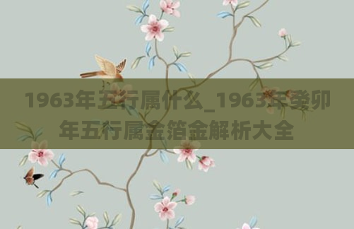 1963年五行属什么_1963年癸卯年五行属金箔金解析大全