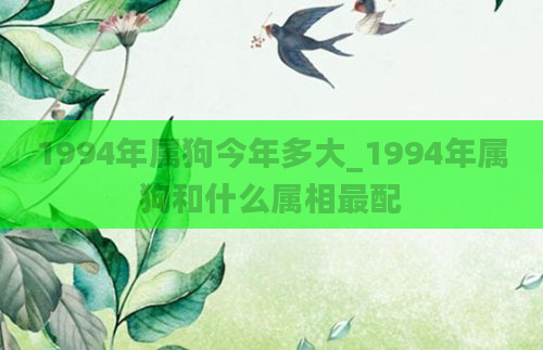 1994年属狗今年多大_1994年属狗和什么属相最配